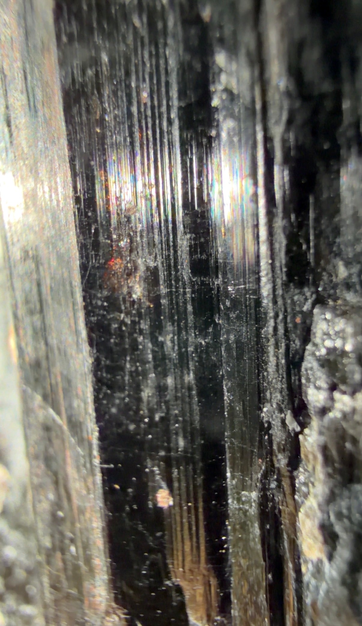 Close-up of a dark, black tourmaline showing vertical striations and a glossy, reflective rainbow surface.