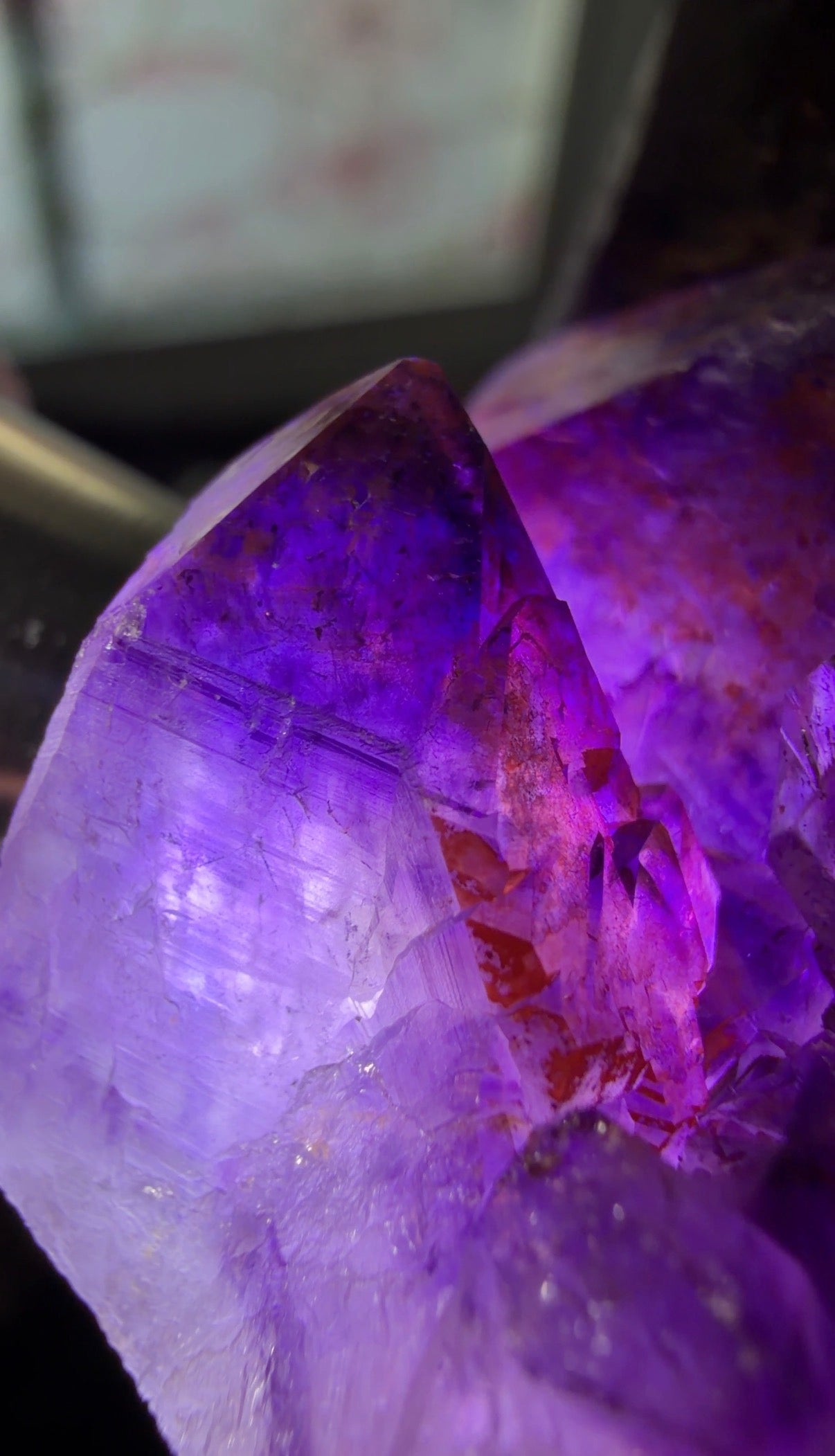 A close-up of a purple crystal cluster with visible faceted points and internal red hematite inclusions, photographed back-lit with a flashlight. 
