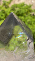 A close-up of a black lithium phantom point clear quartz crystal tower with natural inclusions and a subtle iridescent rainbow sheen, set against a blurred green natural background.