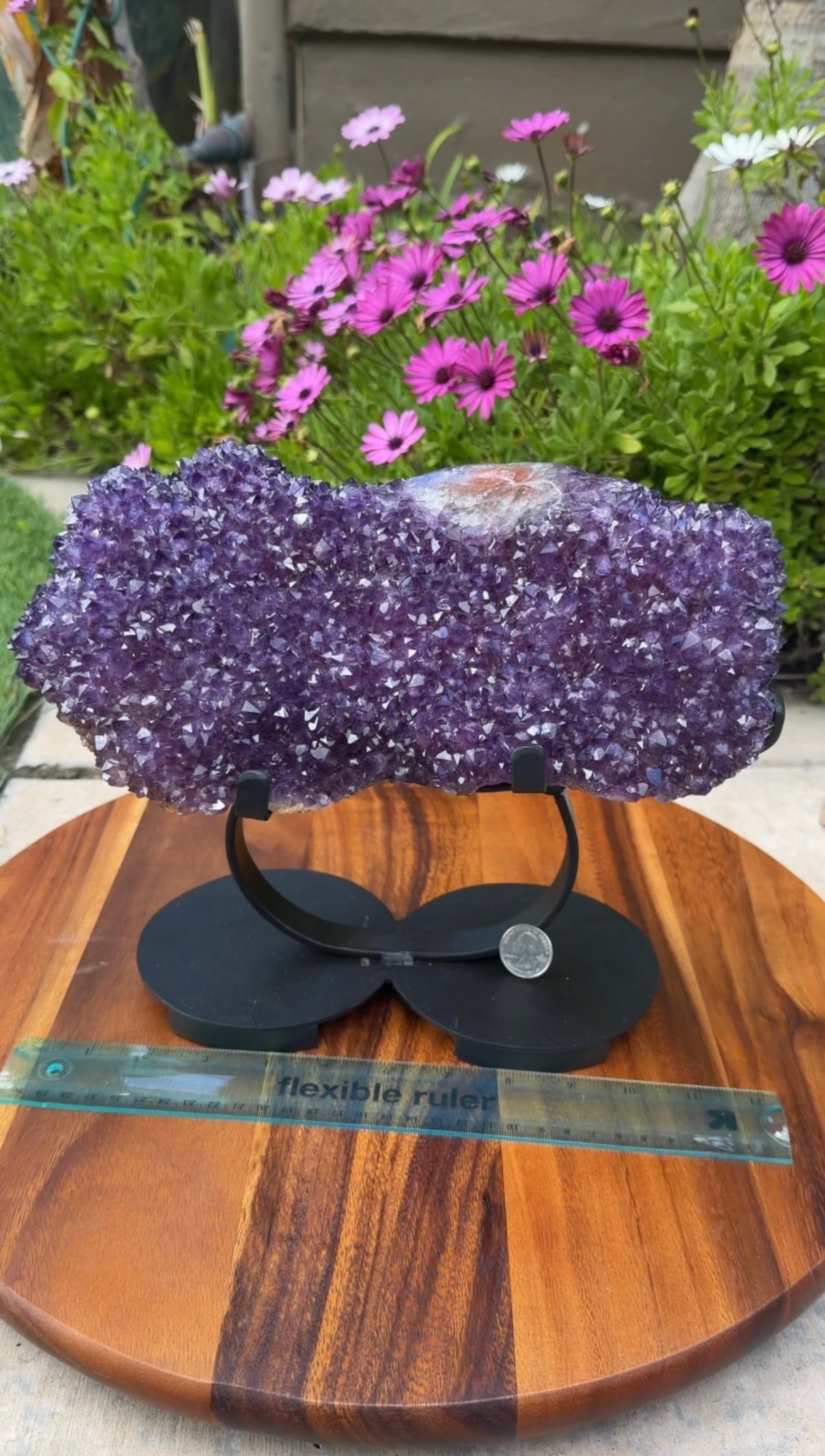 Extra large gemmy Brazilian purple amethyst rosette. Orange stalactite eye formations. Displayed on black metal stand (removable).