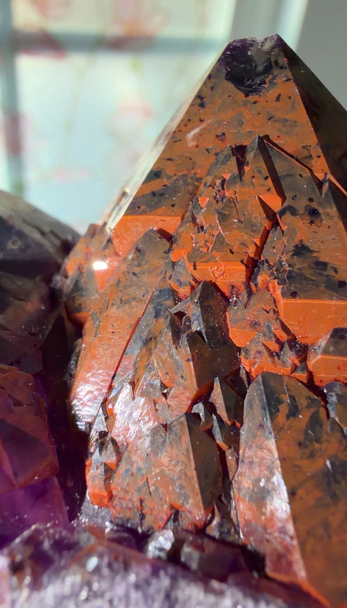 Elestial Alien Amethyst Cluster | India