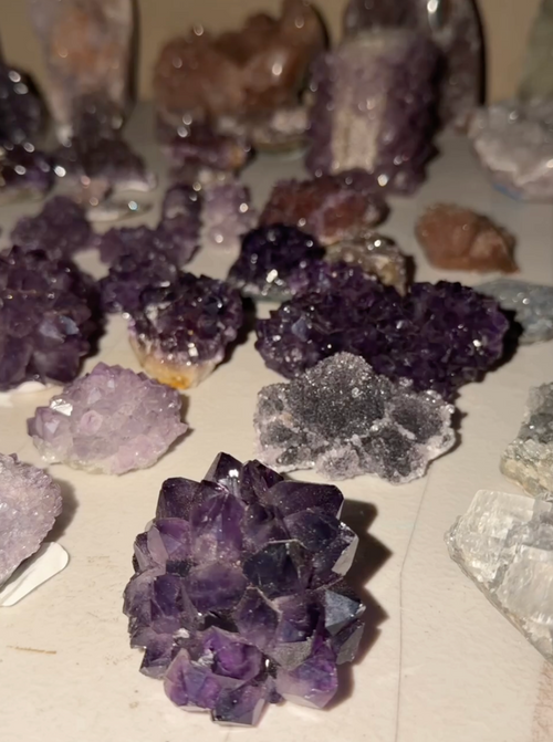 Collection of purple amethyst rosettes. Item in photo is not items for sale. 