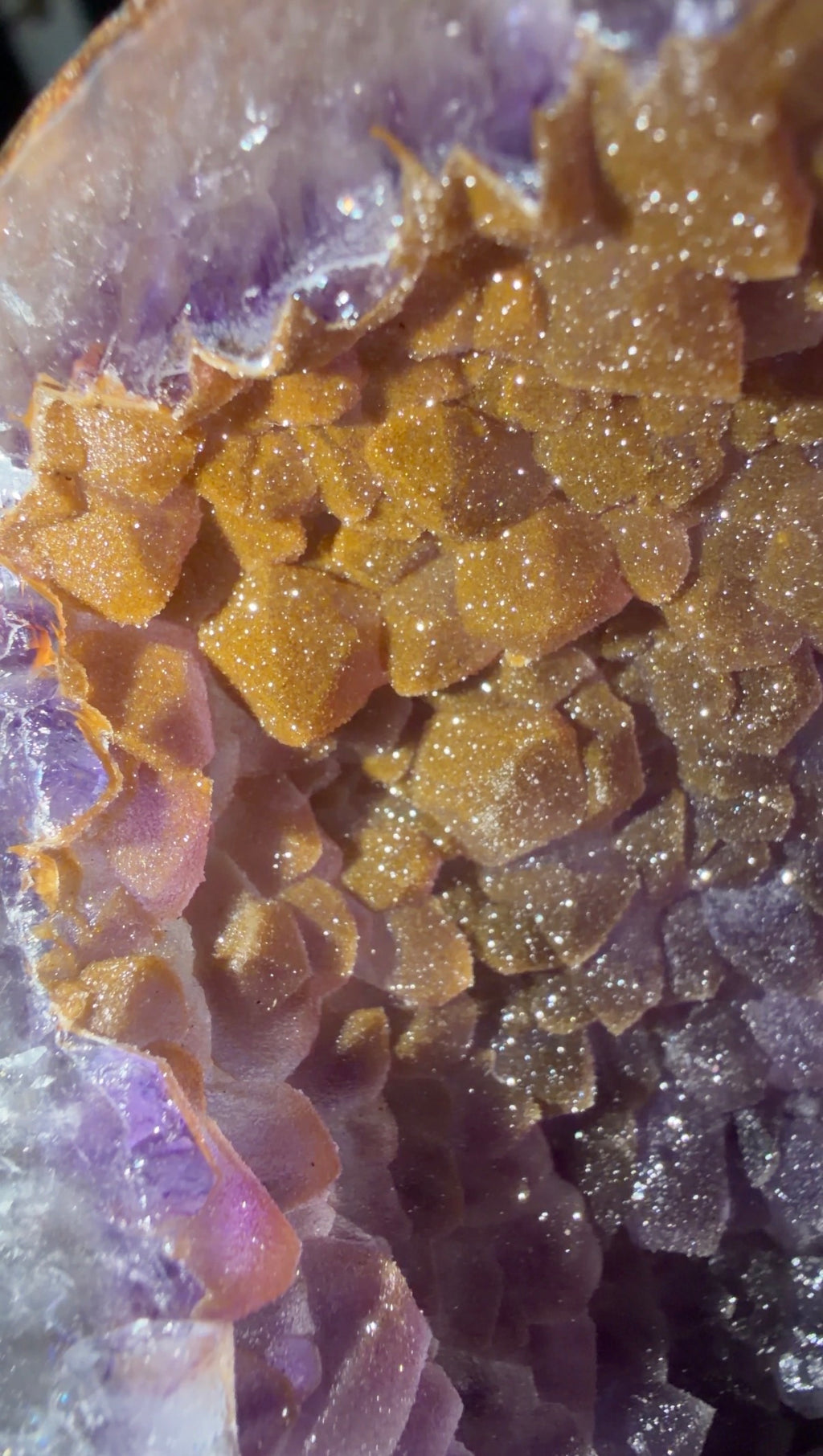 Close=up of the purple points with the golden quartz crust overgrowth shown along the edges. 