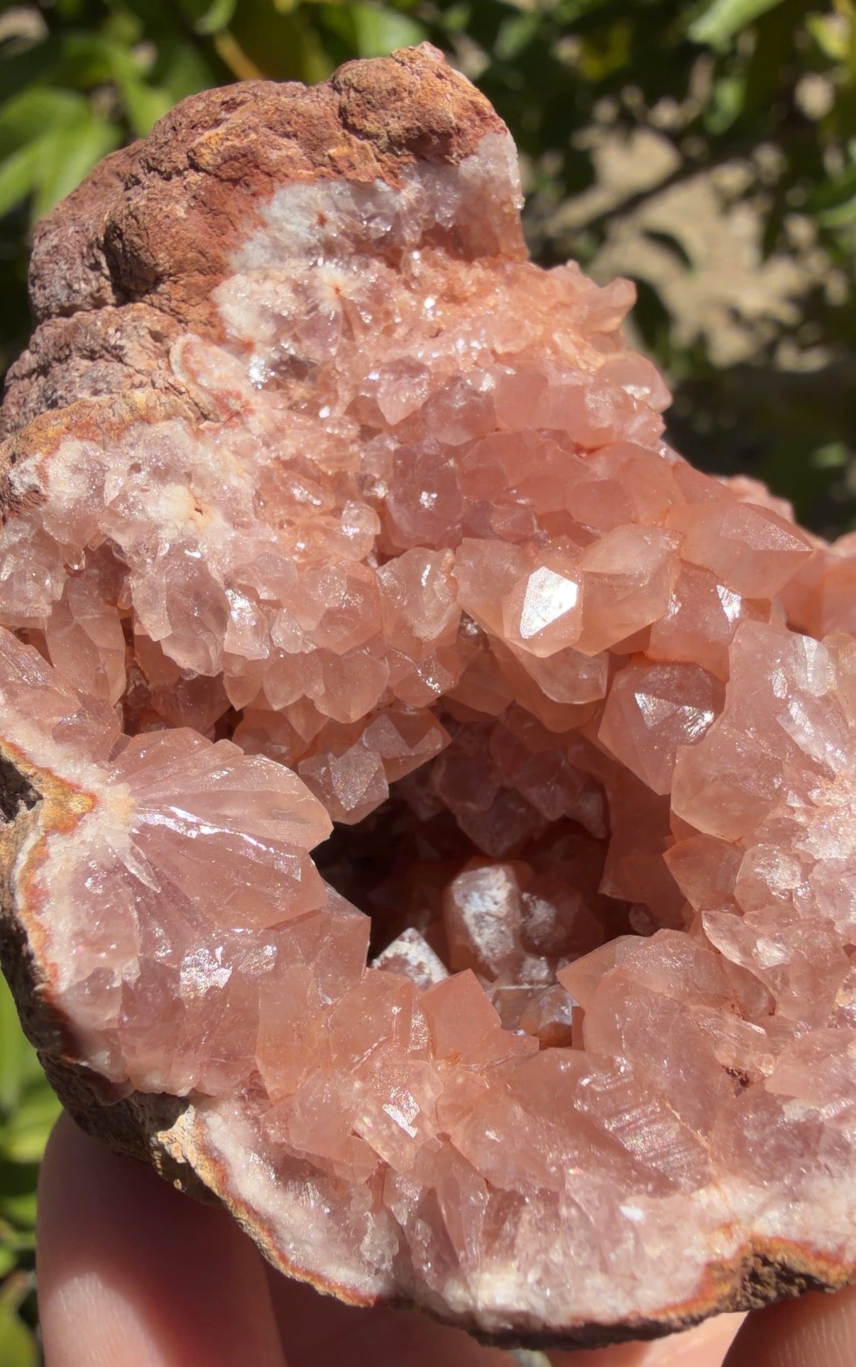A close-up of a natural pink amethyst geode showing translucent dark pink crystals. Looking into one cave. 