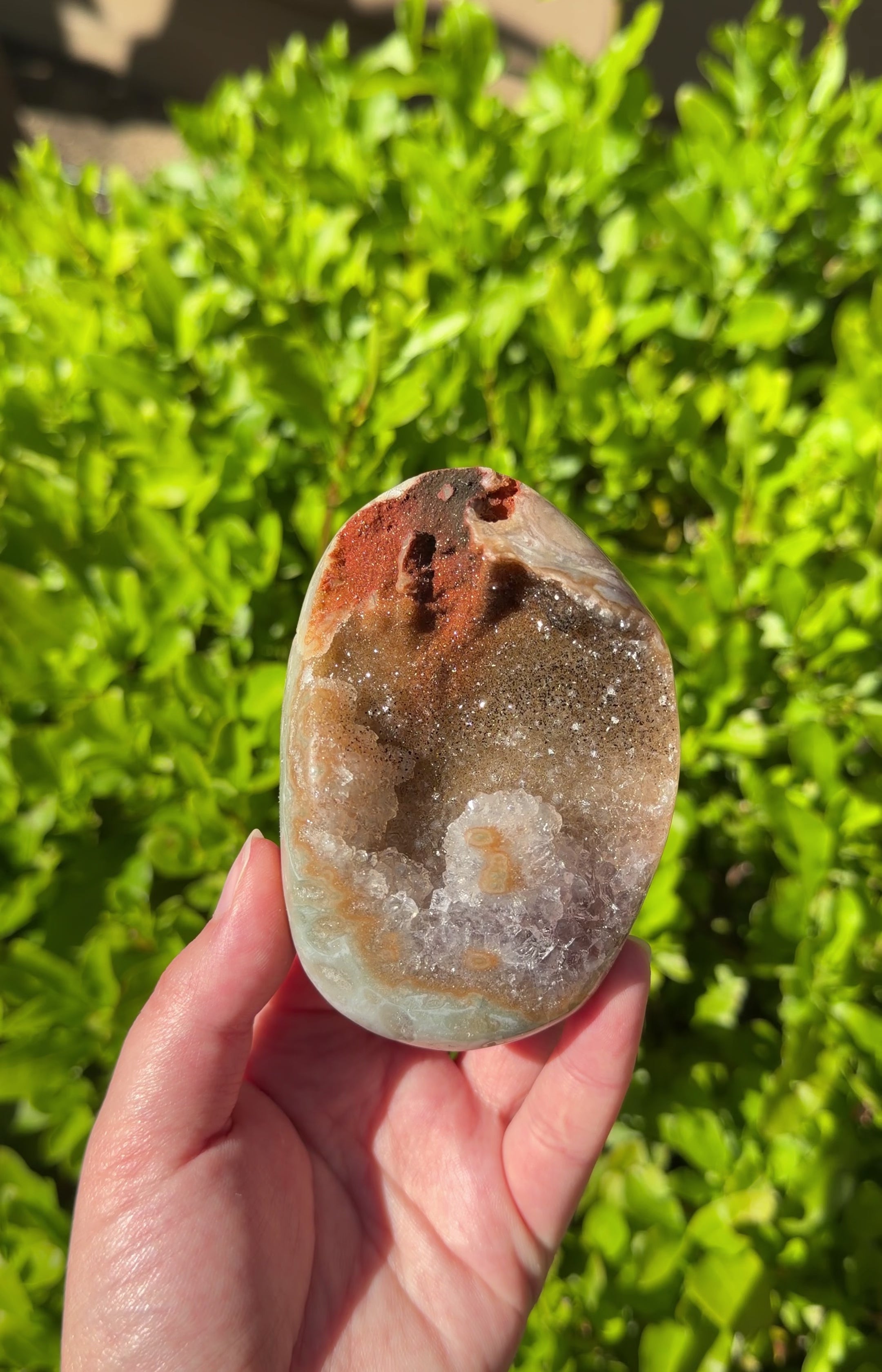 Druzy red + black hematite stained amethyst polished palm stone from Uruguay. Shown with a green leafy background. 