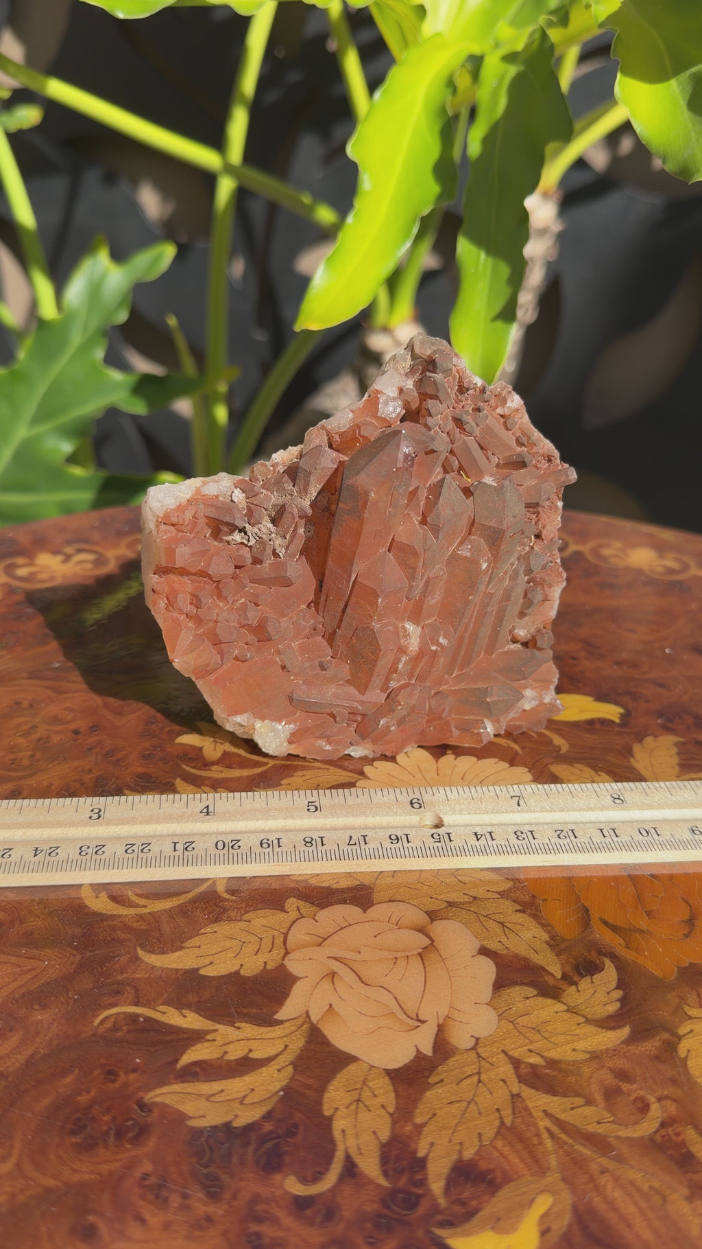 Tangerine Quartz Cluster | Brazil