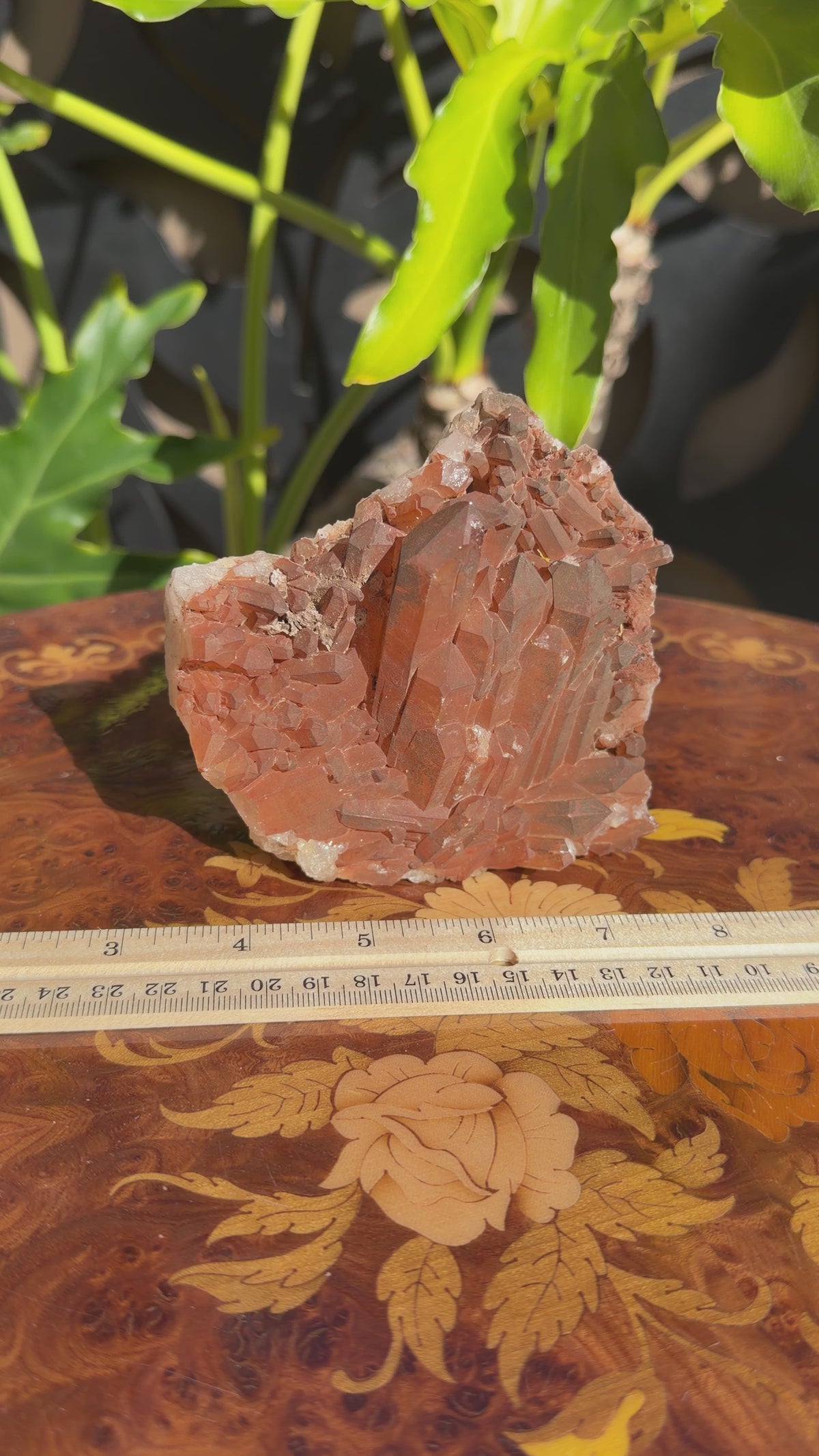 Tangerine Quartz Cluster | Brazil