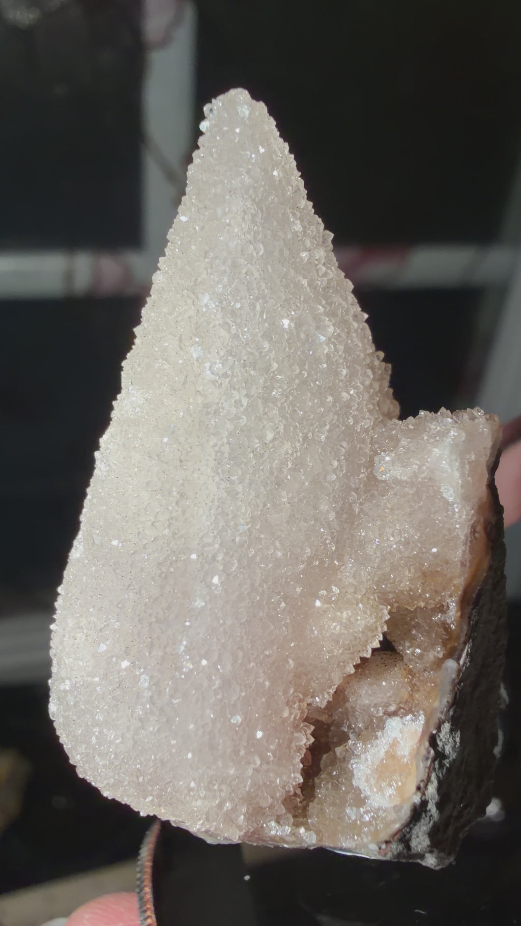 Druse Quartz Coated Dogtooth Calcite | Brazil