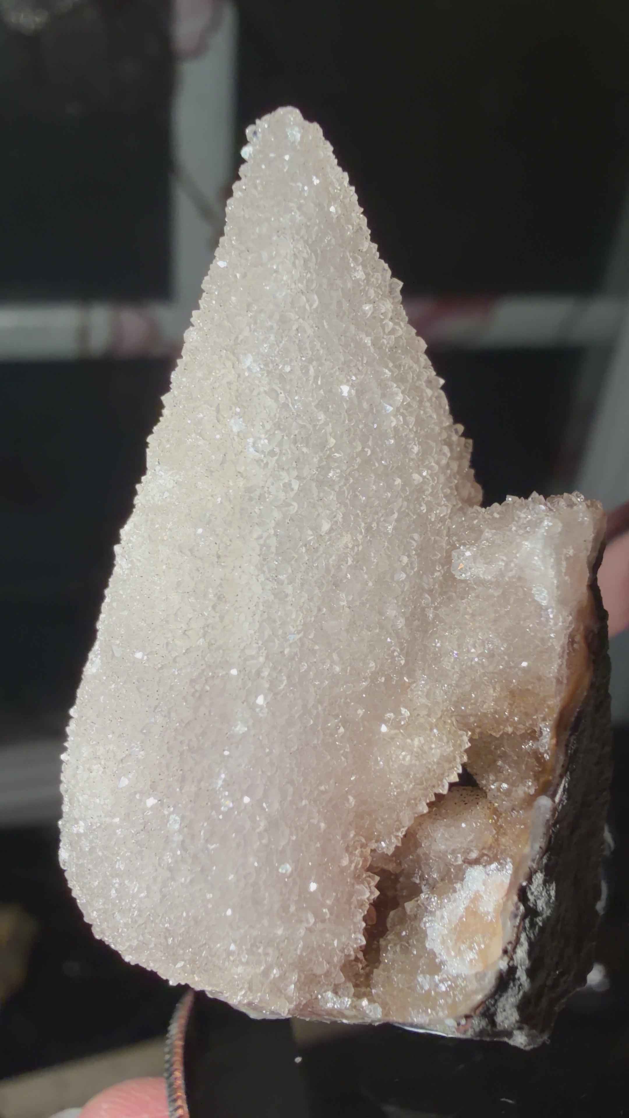 Druse Quartz Coated Dogtooth Calcite | Brazil