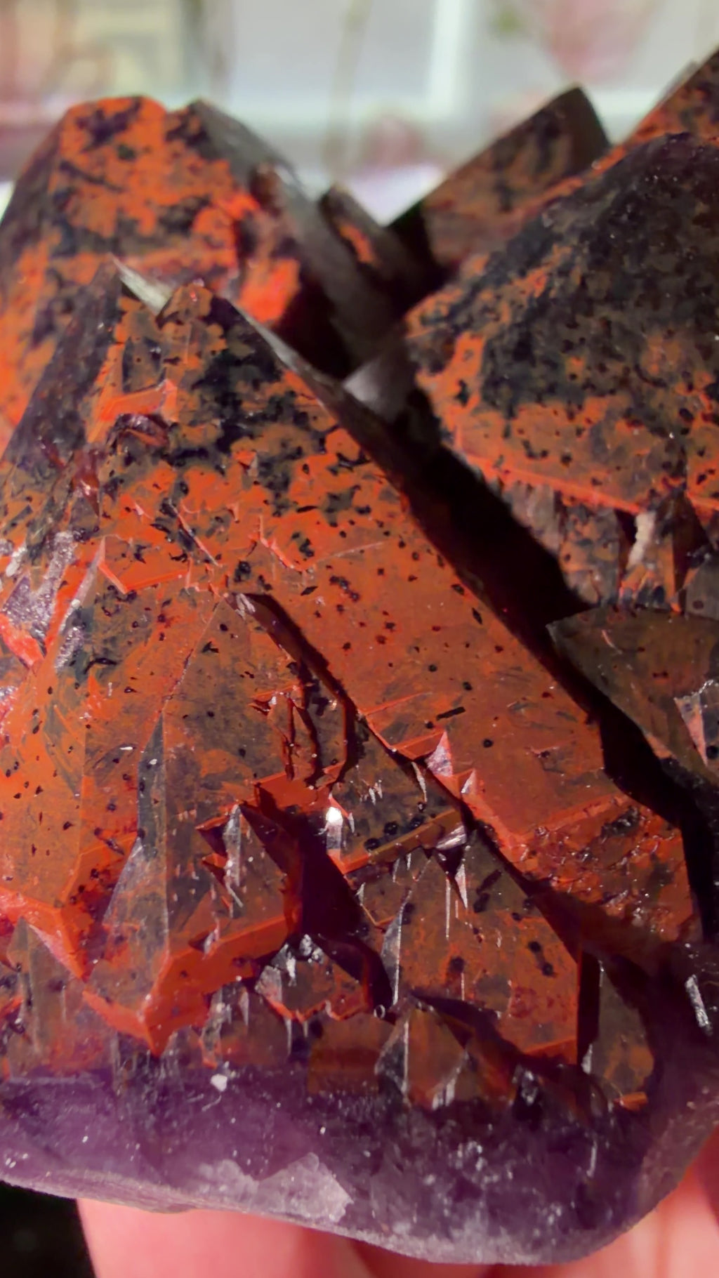 Close up highlighting the rich red hematite and deep purple core. Can see the many faces. 