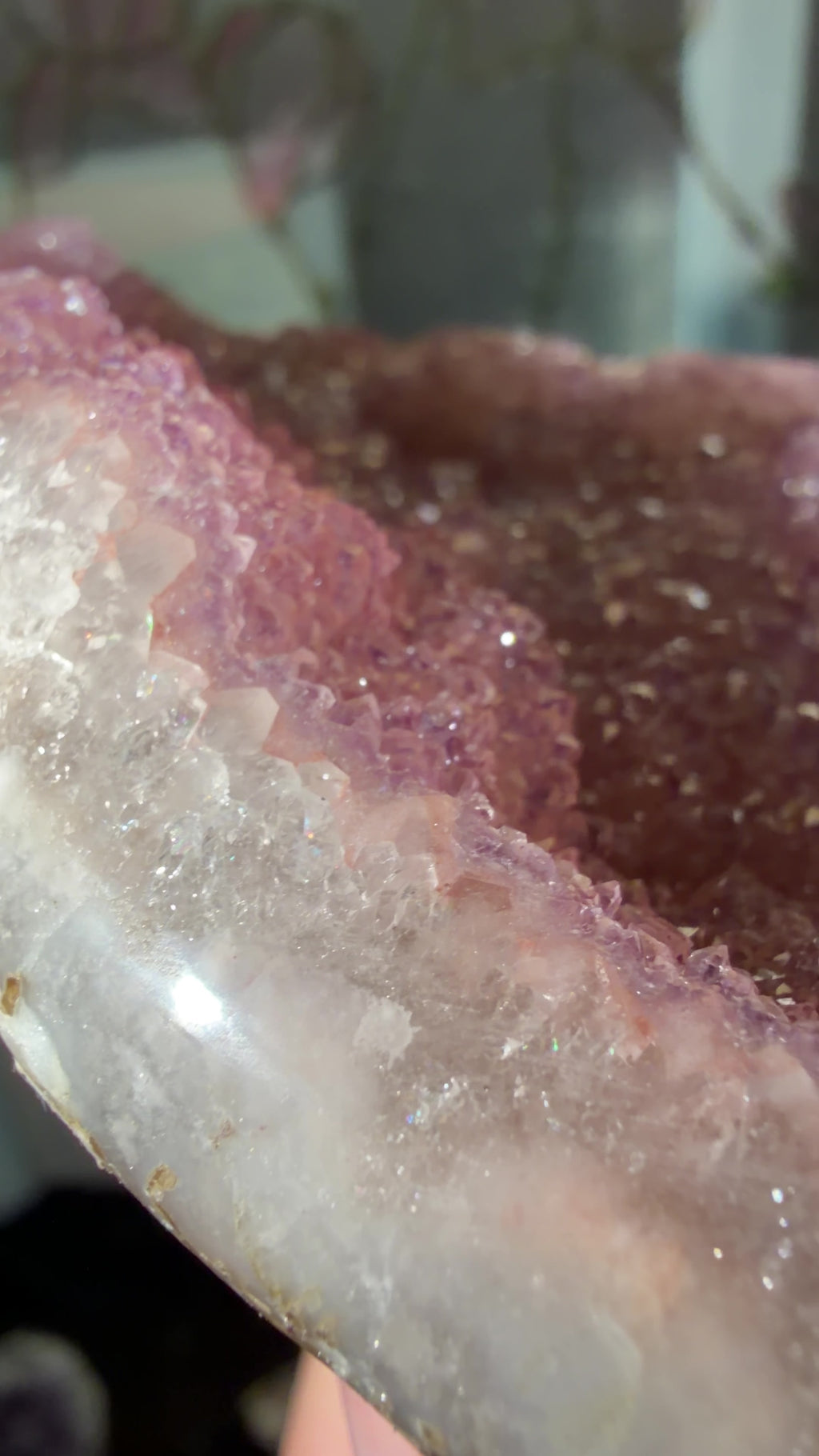 Closeup highlighting the purple and pink points. 