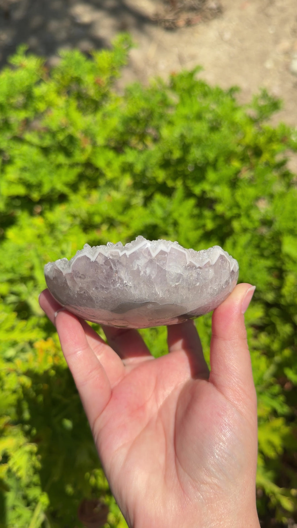 strong white phantom point overgrowth on purple amethyst. Half dome shape polished Freeform. 