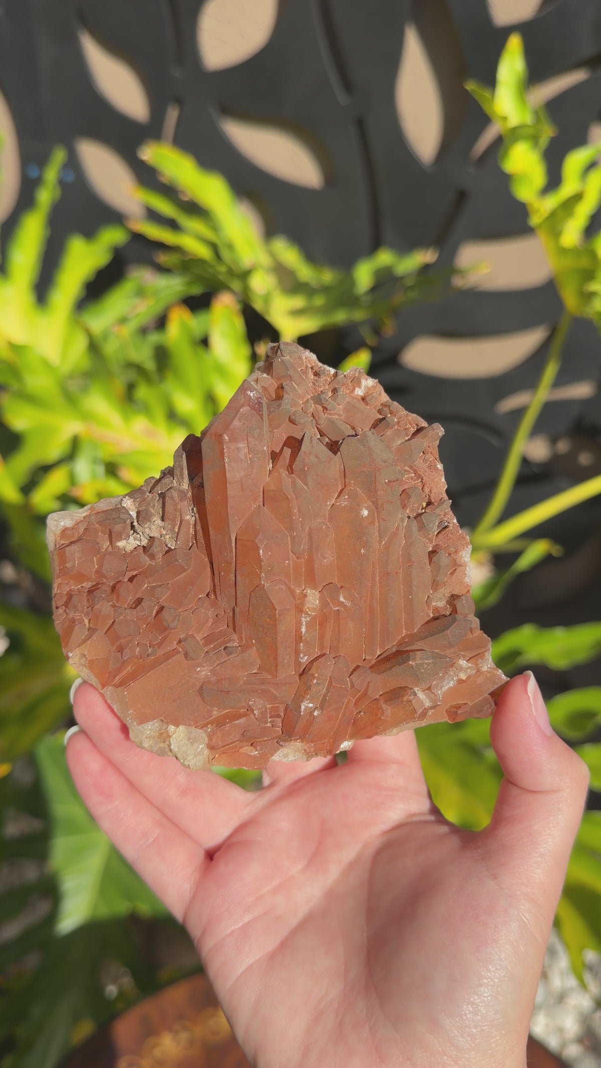 Tangerine Quartz Cluster | Brazil