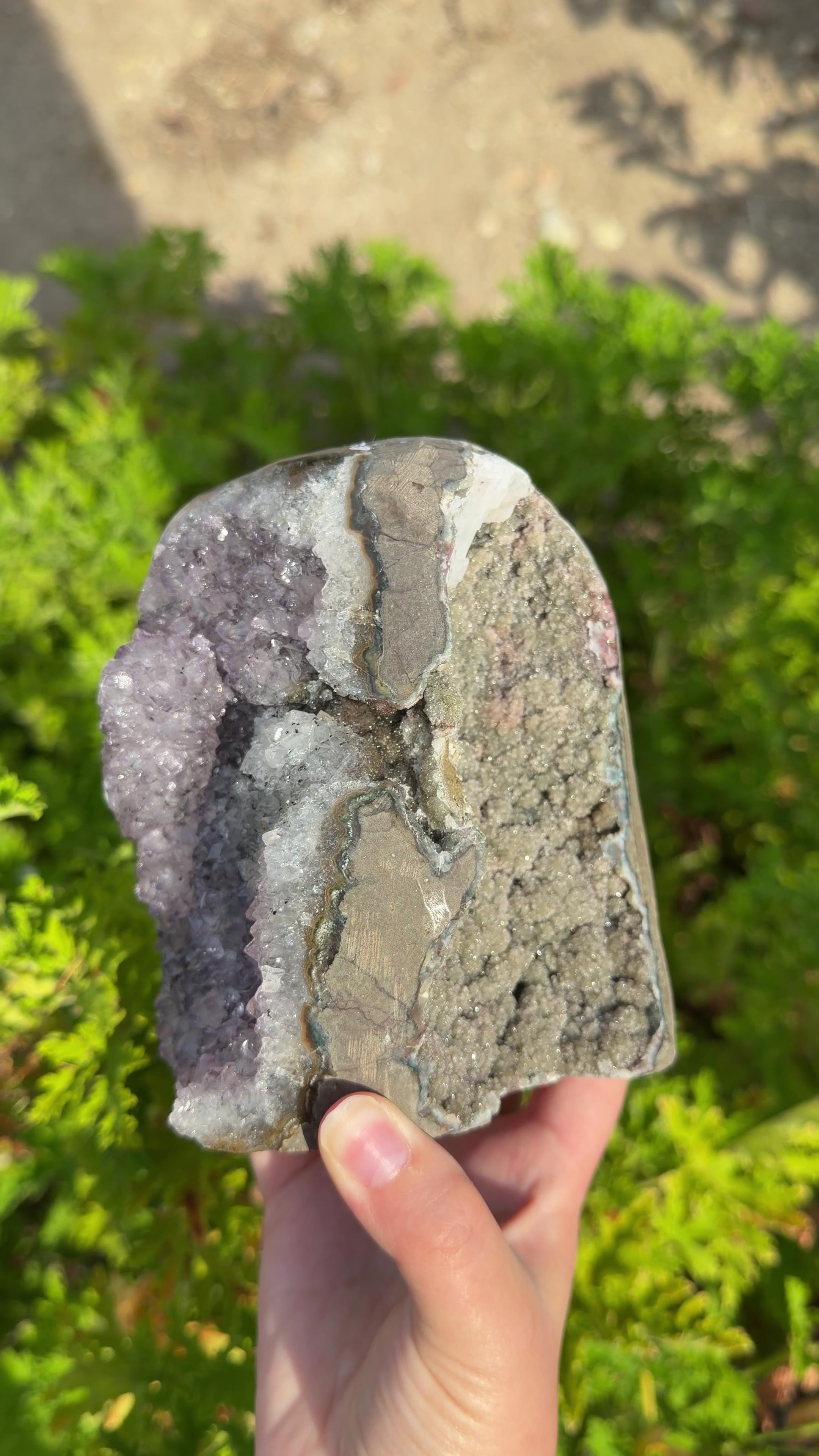 Shown in natural sun light. Dual-cavern purple amethyst and green druzy quartz with a sugary brown and white passageway. 