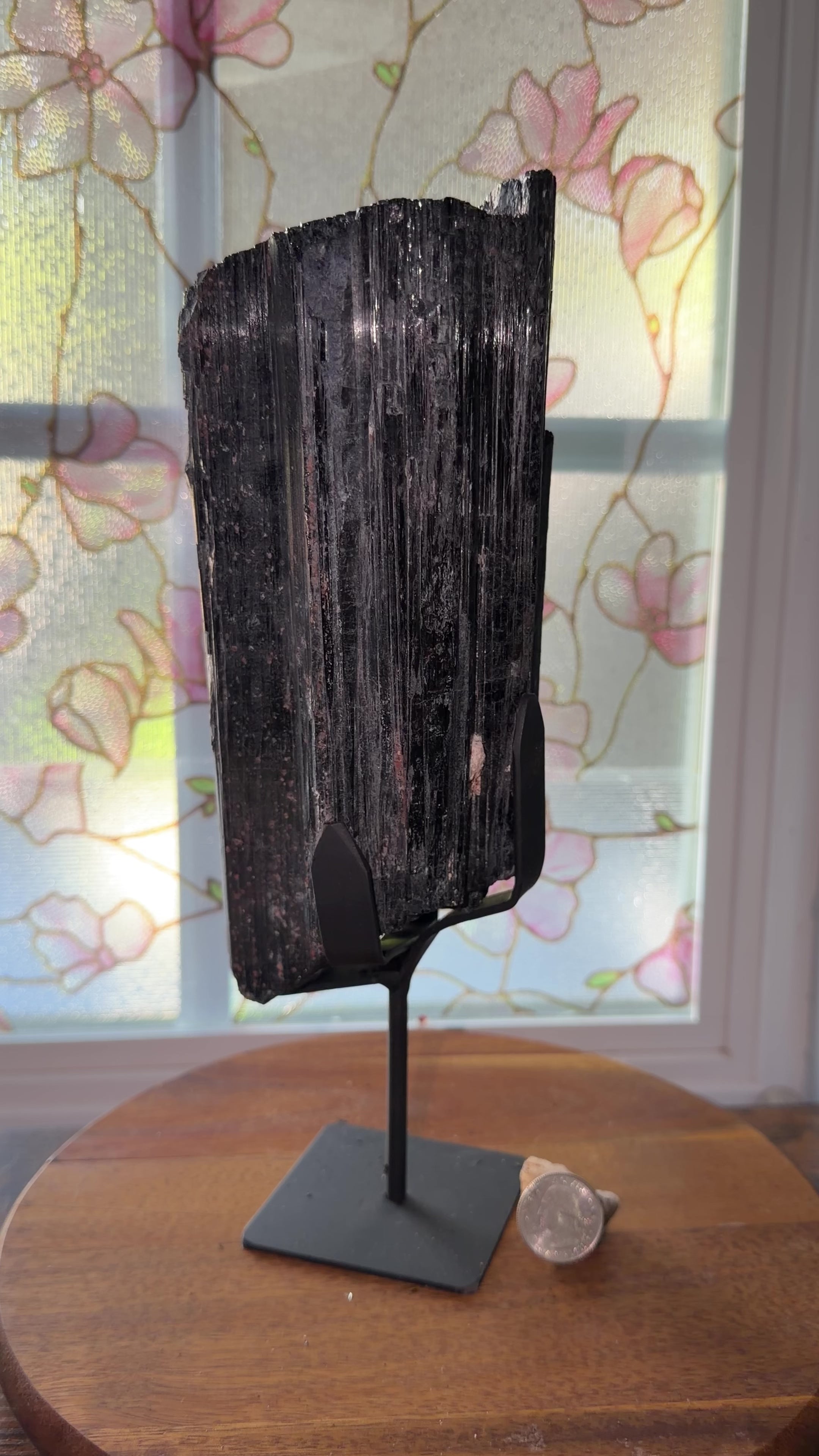 Large raw black tourmaline on stand | From Brazil

11” x 4” x 3” | 6lbs 12oz

small bits of gold mice and quartz on surface. Metal black stand included.

***is slightly flaky so it is likely some small pieces will flake off during shipping