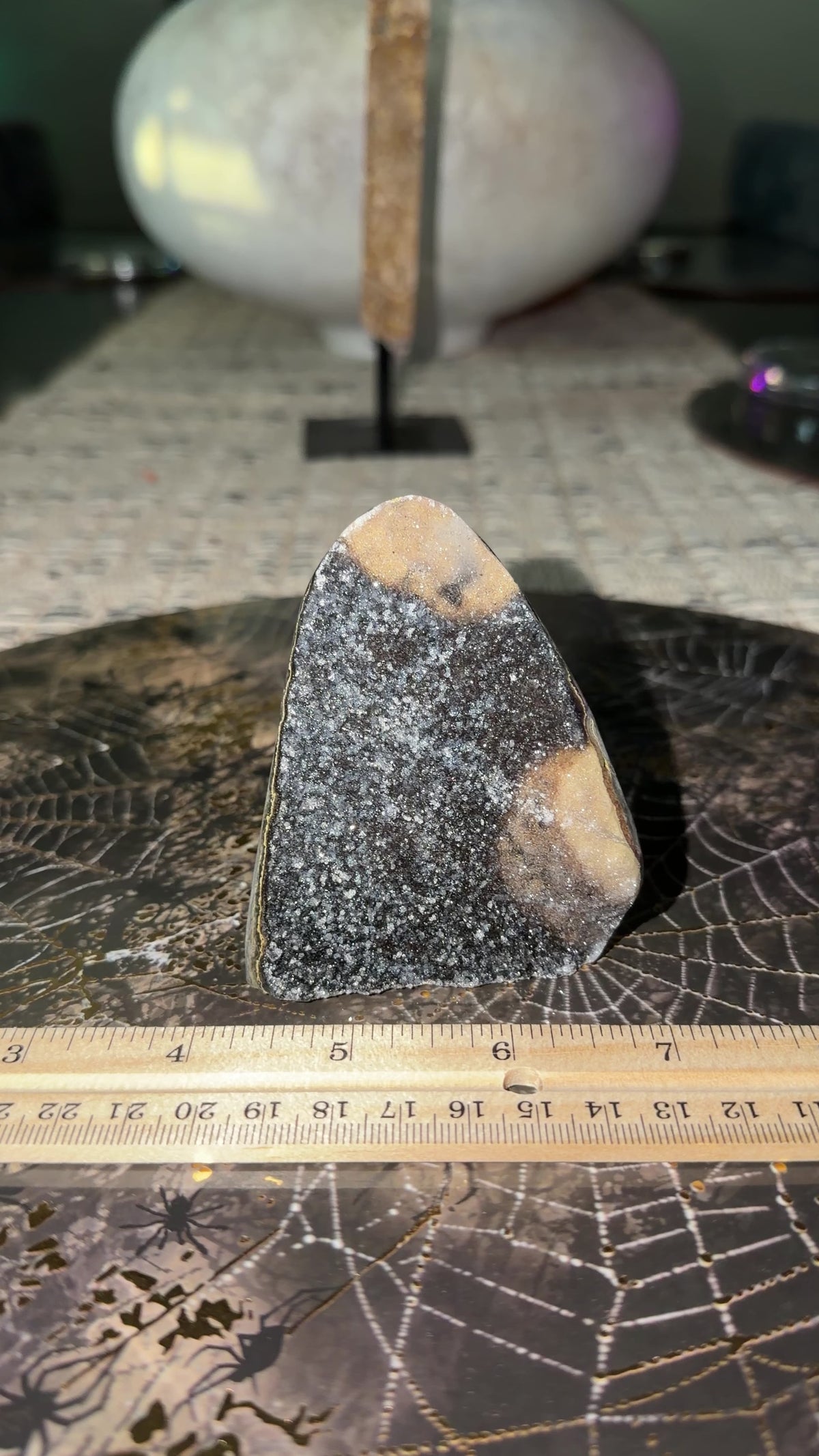 Black Quartz with Hidden Cave Cut Base | Uruguay
