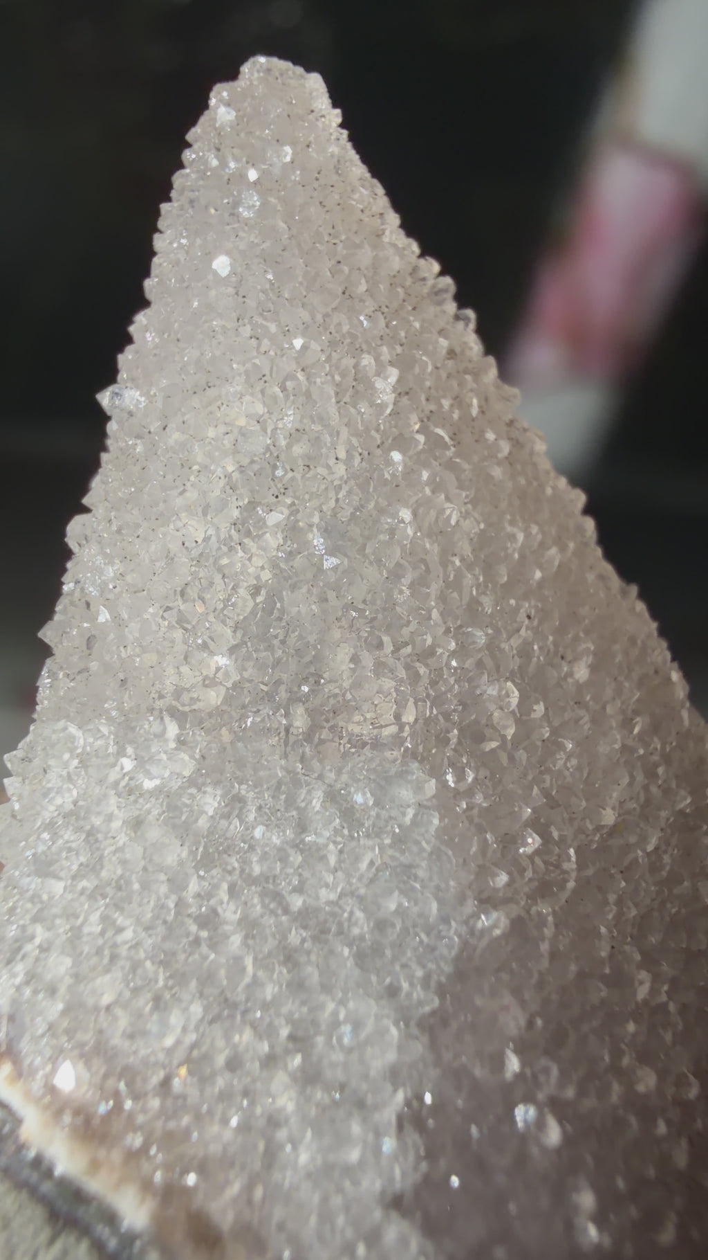Druse Quartz Coated Dogtooth Calcite | Brazil