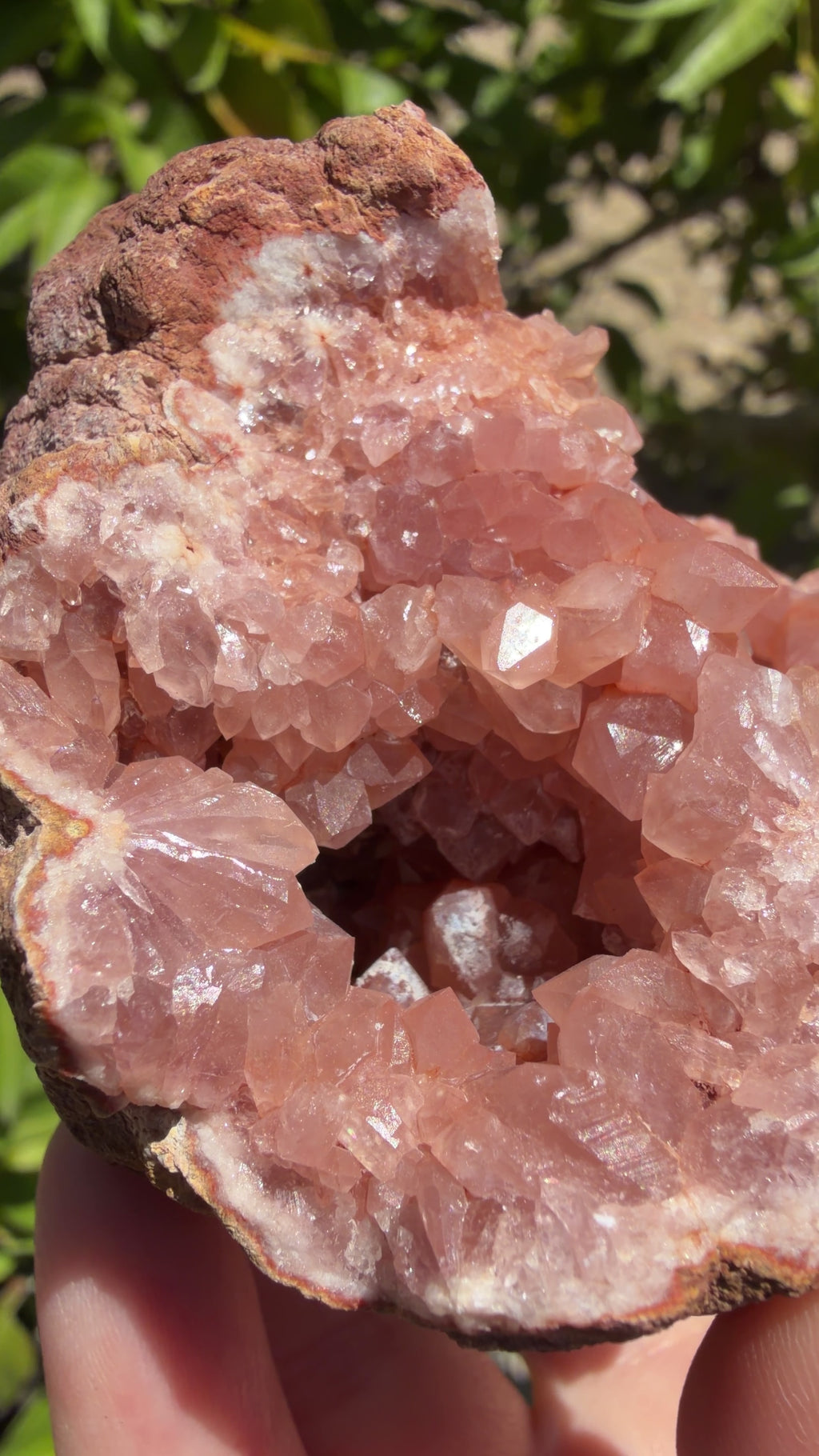 Natural deeply saturated pink amethyst geode with a cluster of terminated and double terminated points.features two mini caves. Shown in natural sunlight. 
