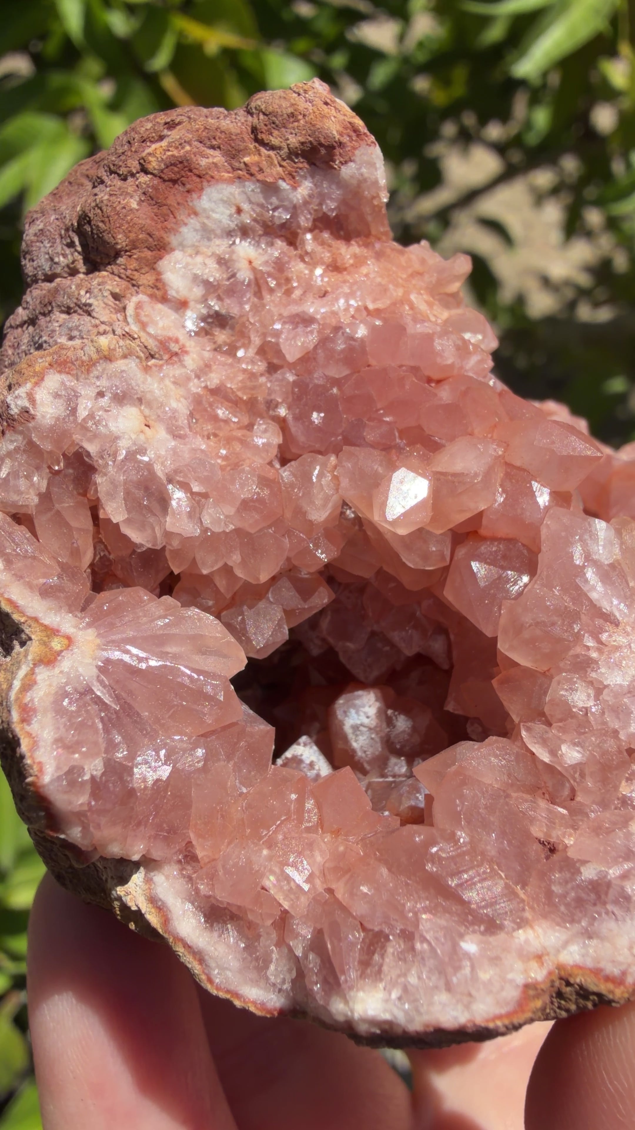 Natural deeply saturated pink amethyst geode with a cluster of terminated and double terminated points.features two mini caves. Shown in natural sunlight. 